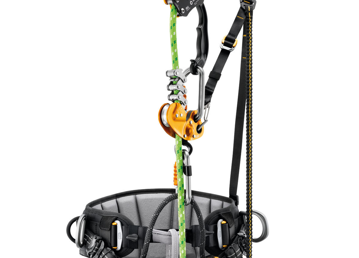 SEQUOIA® SRT, Tree care seat harness for single-rope ascent techniques -  Petzl USA