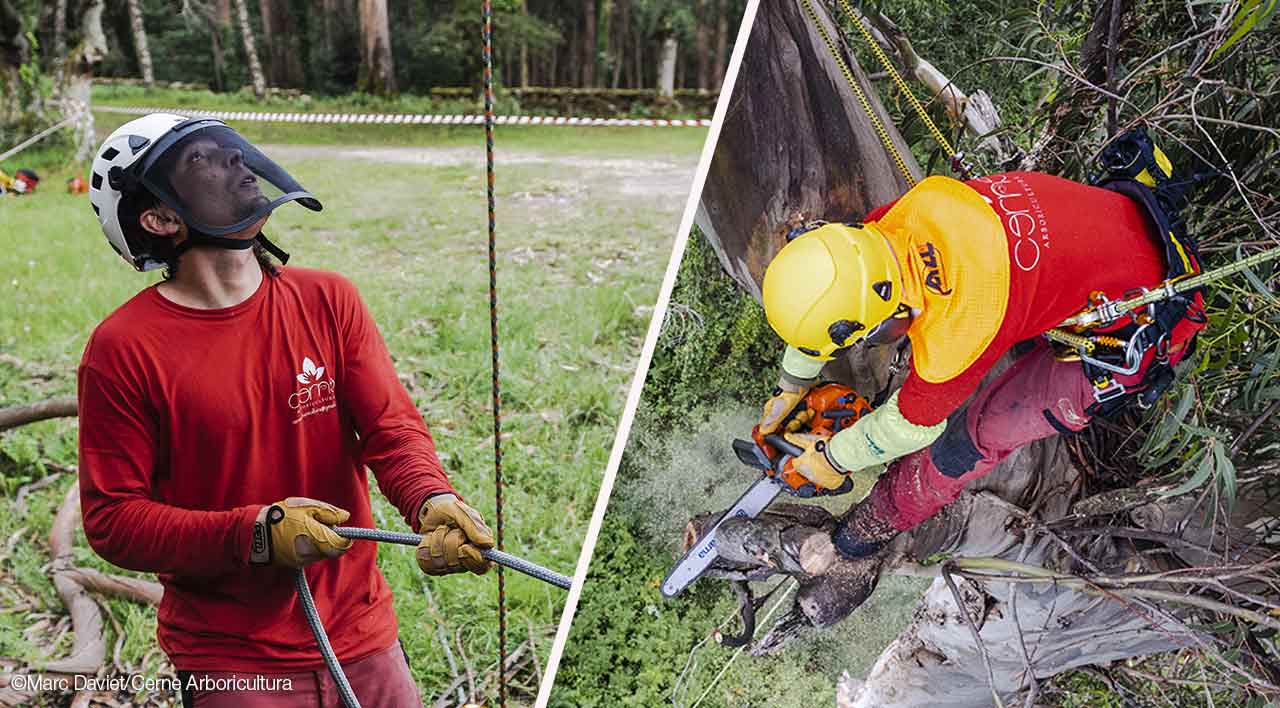 Mousse confort casque VERTEX ou STRATO PETZL I Sécurama