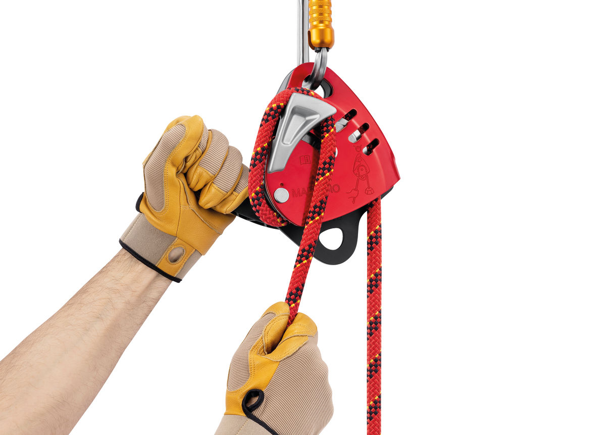 MAESTRO® L, Descender with integrated progress-capture
