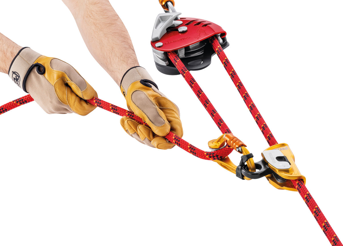 MAESTRO® L, Descender with integrated progress-capture