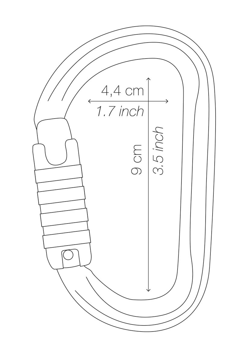 PETZL - Mousqueton asymétrique léger Am'D Noir Screw Lock - Field WorkWear