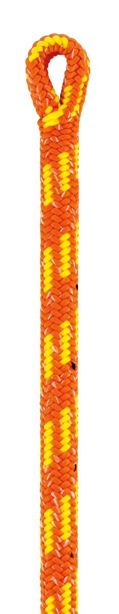 PETZL - CRIC 新品未使用 Petzl ZigZag IV