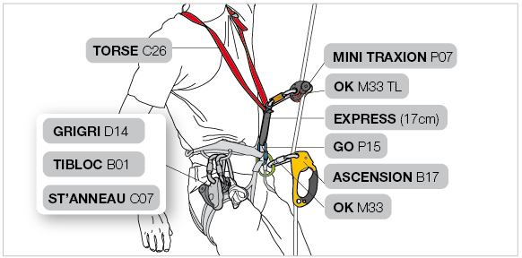 Installation on one single rope with two ascenders - Petzl USA
