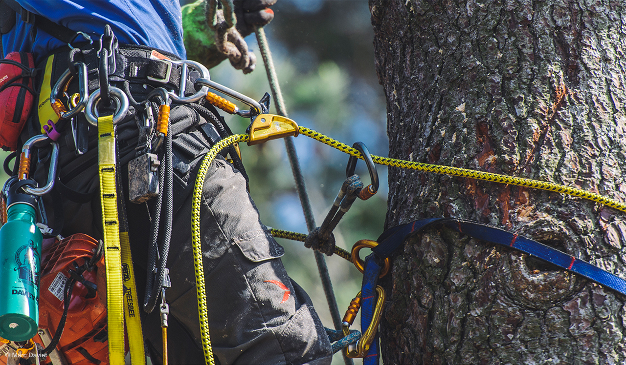 longe armée d'élagage - pour élagueur / harness arborist tree surgeon